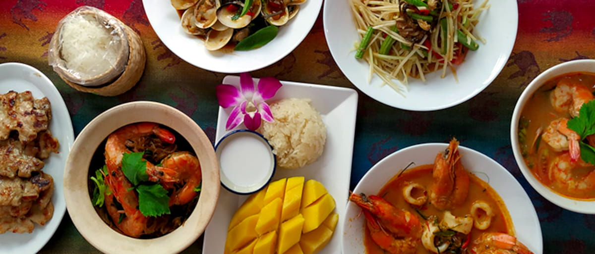 Thai food bonanza