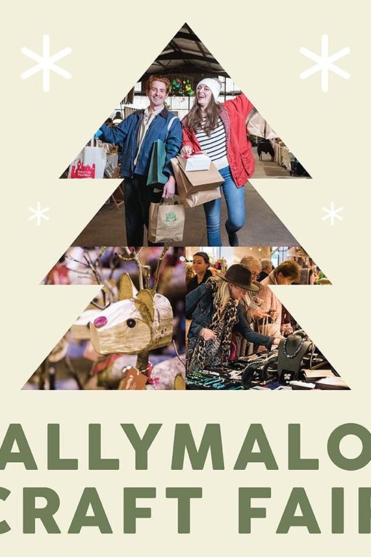 ballymaloe craft fair